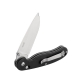 Нож Ganzo D727M-BK черный (D2 сталь) 1